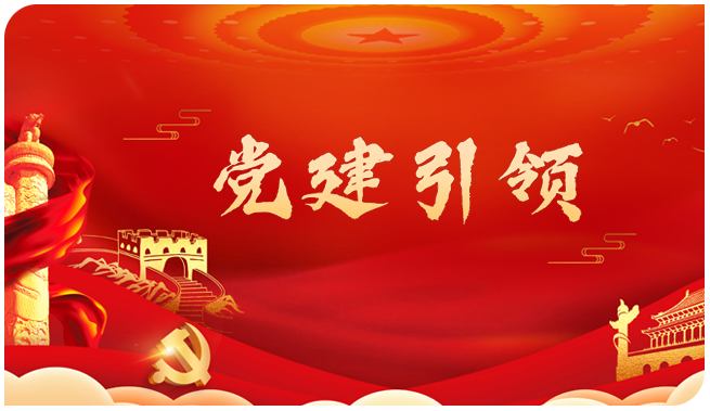 黨建引領 黨建引領